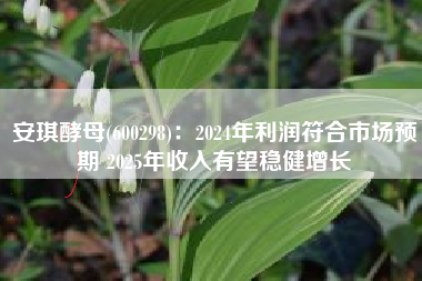 安琪酵母(600298)：2024年利润符合市场预期 2025年收入有望稳健增长