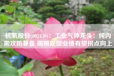 杭氧股份(002430)：工业气体龙头：纯内需攻防兼备 周期底部业绩有望拐点向上