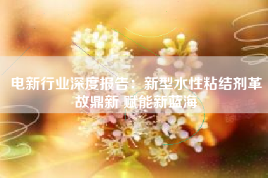 电新行业深度报告：新型水性粘结剂革故鼎新 赋能新蓝海