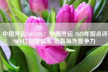 中国外运(601598)：中国外运 2024年报点评 分红回报股东 培育海外竞争力