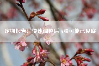 定期报告：快速调整后 A股可能已见底