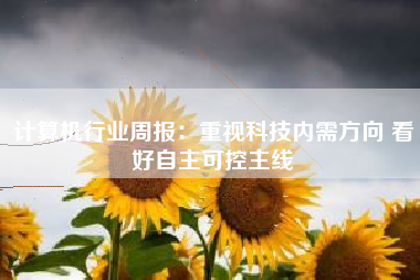 计算机行业周报：重视科技内需方向 看好自主可控主线