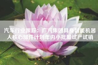 汽车行业跟踪：广汽集团具身智能机器人核心部件计划年内小批量试产试销