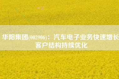 华阳集团(002906)：汽车电子业务快速增长 客户结构持续优化