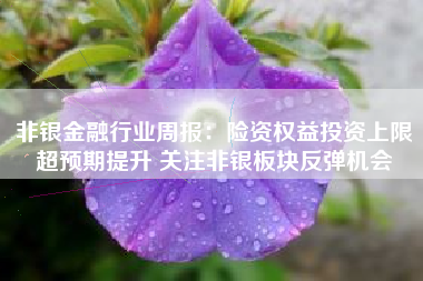 非银金融行业周报：险资权益投资上限超预期提升 关注非银板块反弹机会