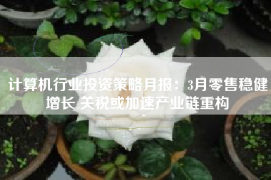 计算机行业投资策略月报：3月零售稳健增长 关税或加速产业链重构