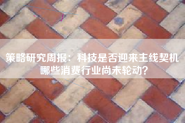 策略研究周报：科技是否迎来主线契机 哪些消费行业尚未轮动？