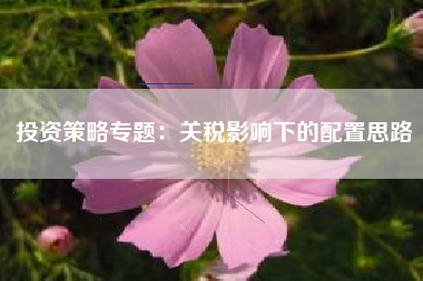 投资策略专题：关税影响下的配置思路