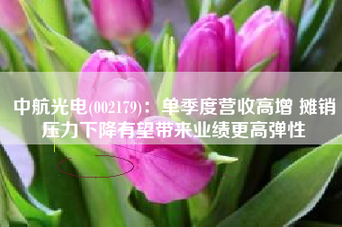 中航光电(002179)：单季度营收高增 摊销压力下降有望带来业绩更高弹性