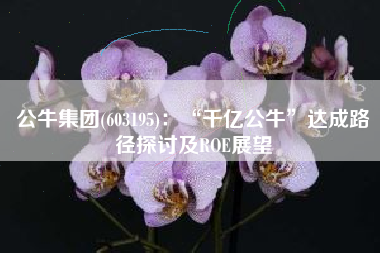 公牛集团(603195)：“千亿公牛”达成路径探讨及ROE展望
