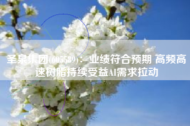 圣泉集团(605589)：业绩符合预期 高频高速树脂持续受益AI需求拉动