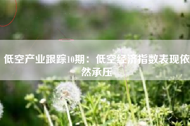 低空产业跟踪10期：低空经济指数表现依然承压