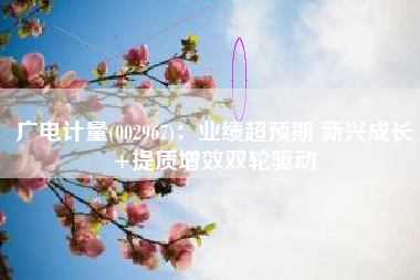 广电计量(002967)：业绩超预期 新兴成长+提质增效双轮驱动