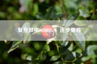 复旦微电(688385)：逐步复苏
