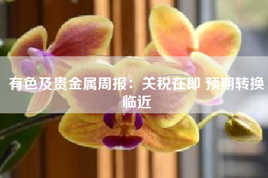 有色及贵金属周报：关税在即 预期转换临近