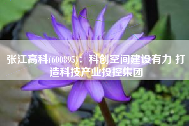 张江高科(600895)：科创空间建设有力 打造科技产业投控集团