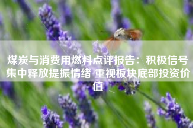 煤炭与消费用燃料点评报告：积极信号集中释放提振情绪 重视板块底部投资价值