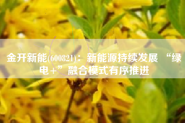 金开新能(600821)：新能源持续发展 “绿电+”融合模式有序推进