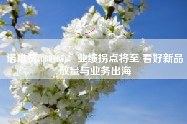 诺唯赞(688105)：业绩拐点将至 看好新品放量与业务出海