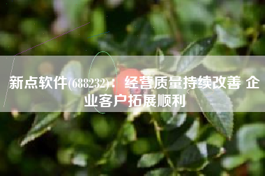 新点软件(688232)：经营质量持续改善 企业客户拓展顺利