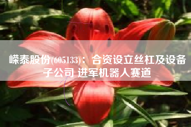 嵘泰股份(605133)：合资设立丝杠及设备子公司 进军机器人赛道
