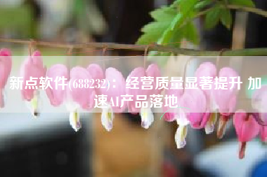 新点软件(688232)：经营质量显著提升 加速AI产品落地