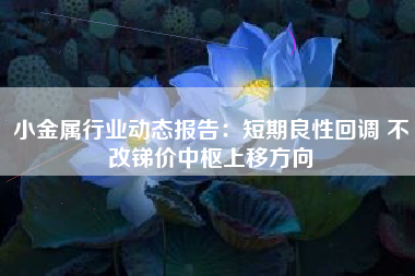 小金属行业动态报告：短期良性回调 不改锑价中枢上移方向