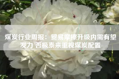 煤炭行业周报：贸易摩擦升级内需有望发力 否极泰来重视煤炭配置