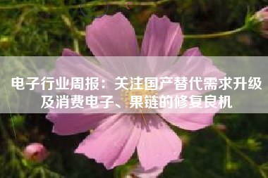 电子行业周报：关注国产替代需求升级及消费电子、果链的修复良机