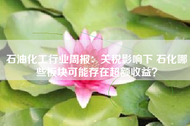 石油化工行业周报：关税影响下 石化哪些板块可能存在超额收益？