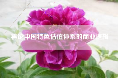 再论中国特色估值体系的商业逻辑