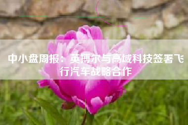 中小盘周报：英搏尔与高域科技签署飞行汽车战略合作
