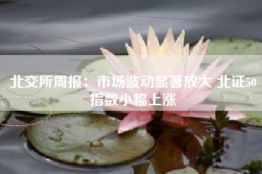 北交所周报：市场波动显著放大 北证50指数小幅上涨