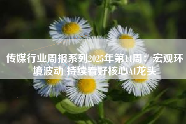 传媒行业周报系列2025年第14周:宏观环境波动 持续看好核心AI龙头 传媒行业周报系列2025年第14周:宏观环境波动 持续看好核心AI龙头