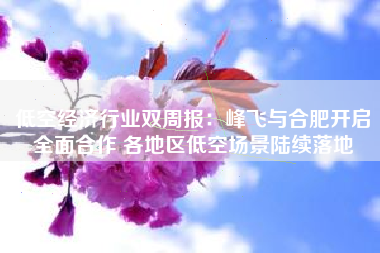 低空经济行业双周报：峰飞与合肥开启全面合作 各地区低空场景陆续落地