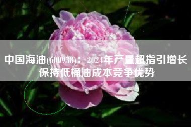 中国海油(600938)：2024年产量超指引增长 保持低桶油成本竞争优势