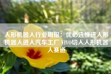 人形机器人行业周报：优必选推进人形机器人进入汽车工厂 VIVO切入人形机器人赛道