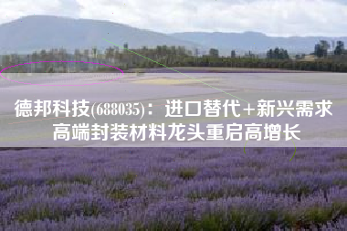 德邦科技(688035)：进口替代+新兴需求 高端封装材料龙头重启高增长