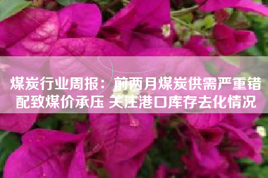 煤炭行业周报：前两月煤炭供需严重错配致煤价承压 关注港口库存去化情况
