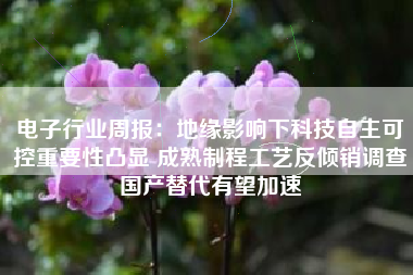 电子行业周报：地缘影响下科技自主可控重要性凸显 成熟制程工艺反倾销调查国产替代有望加速