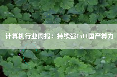 计算机行业周报：持续强CALL国产算力
