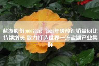 盐湖股份(000792)：2024年碳酸锂销量同比持续增长 致力打造世界一流盐湖产业集群