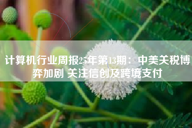 计算机行业周报25年第13期：中美关税博弈加剧 关注信创及跨境支付