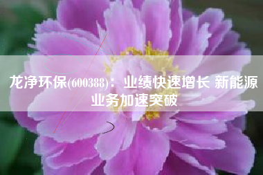 龙净环保(600388)：业绩快速增长 新能源业务加速突破