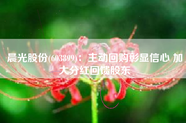 晨光股份(603899)：主动回购彰显信心 加大分红回馈股东
