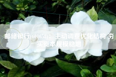 邮储银行(601658)：主动调费优化结构 夯实资本规模稳增