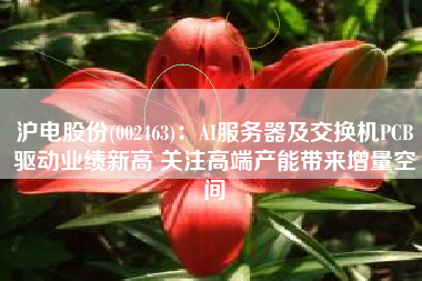 沪电股份(002463)：AI服务器及交换机PCB驱动业绩新高 关注高端产能带来增量空间