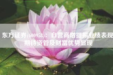 东方证券(600958)：自营高增提振业绩表现 期待资管及财富优势显现