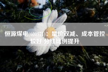恒源煤电(600971)：量价双减、成本管控较好 分红比例提升