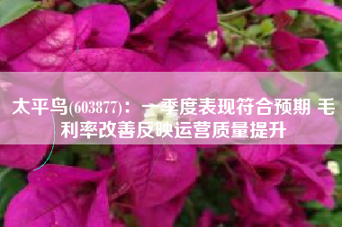 太平鸟(603877)：一季度表现符合预期 毛利率改善反映运营质量提升